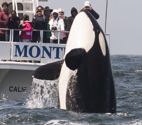 a man riding a surfboard in the water