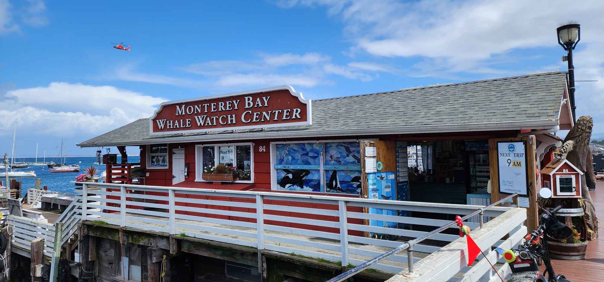 Monterey Bay Whale Watch