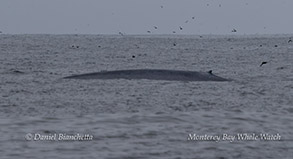 a group of people on a beach near a body of water