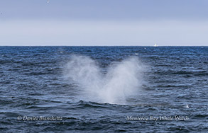 a man riding a wave on top of a body of water