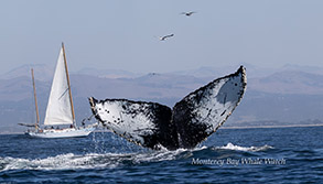 a small boat in a body of water