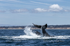 a man riding a wave on top of a body of water