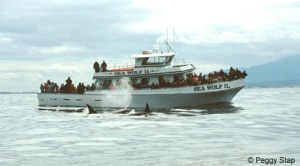 a small boat in a large body of water