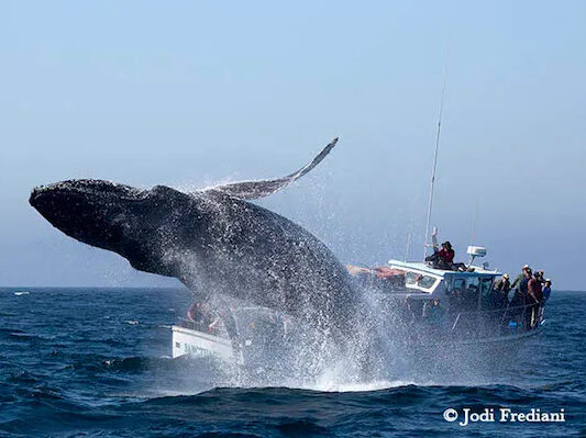 a man flying through the air over a body of water