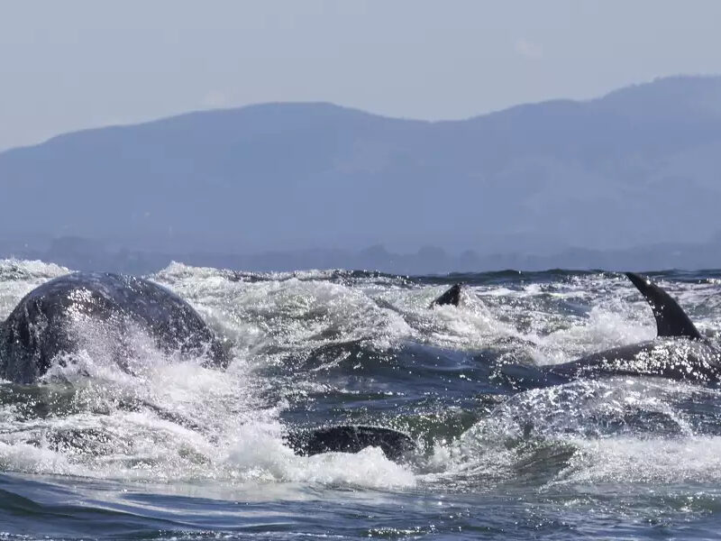 a man riding a wave on top of a mountain