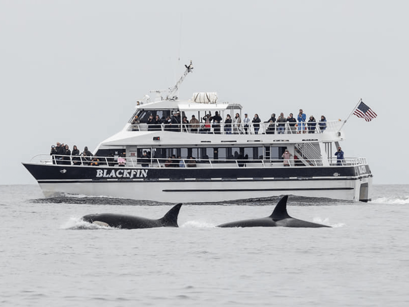 a small boat in a body of water
