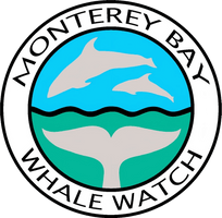Monterey Bay Whale Watch