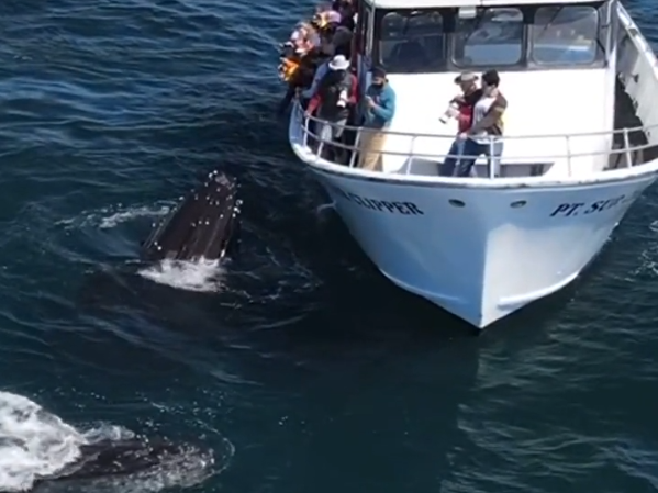 a small boat in a body of water