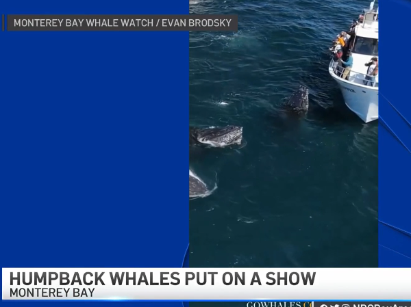 graphical user interface