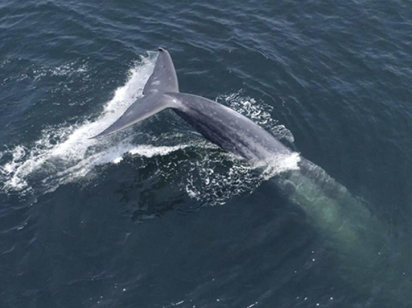a man riding a wave on top of a body of water