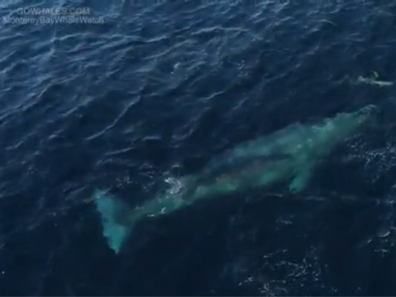 a large body of water