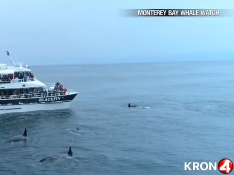 a small boat in a large body of water