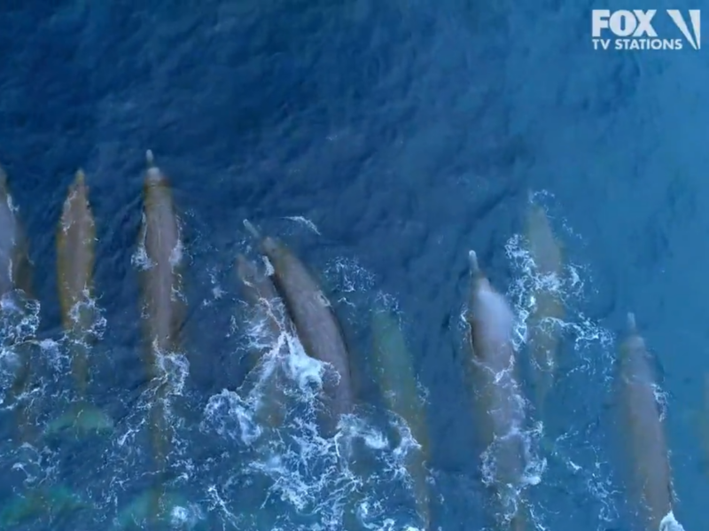 a close up of a wave