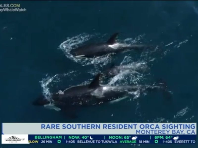 a close up of a wave