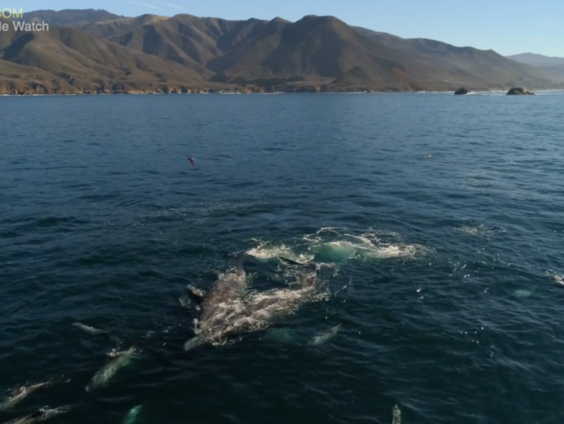 a large body of water with a mountain in the background