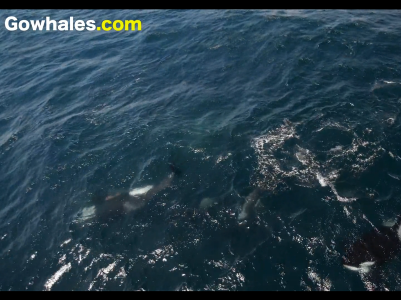 a man riding a wave on a surfboard in the water