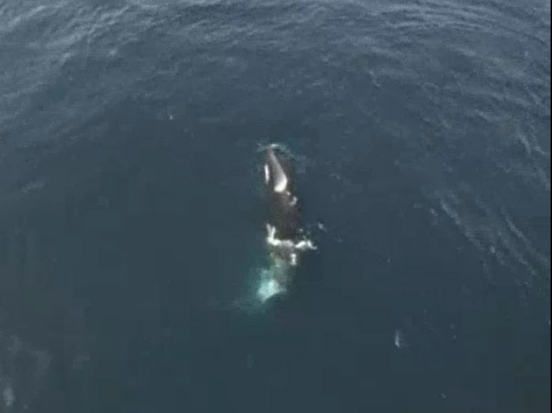 a man riding a wave on top of a body of water