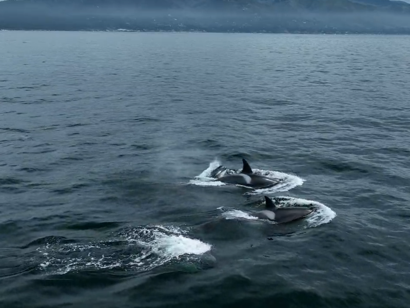 a man riding a wave on top of a body of water