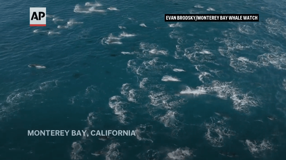 a sign on the side of the water