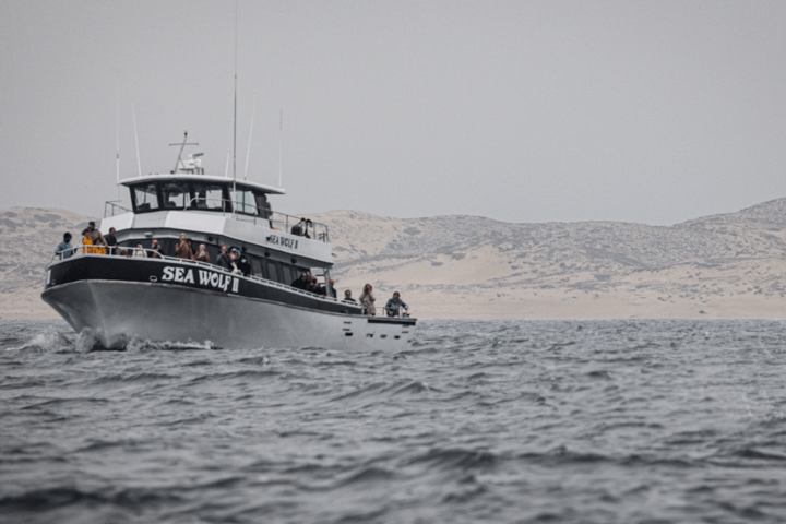 a boat on a body of water