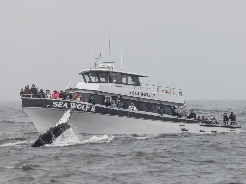 a large ship in a body of water